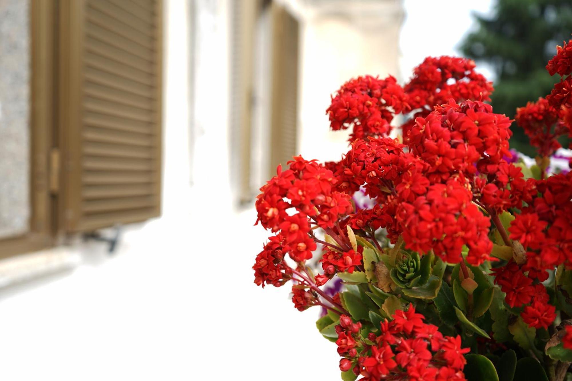 Ostuni Dream House Apartment Exterior photo